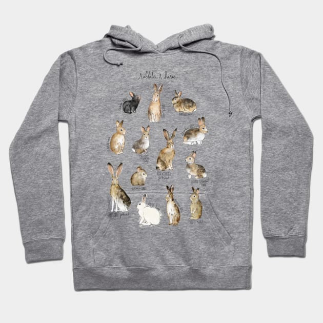 Rabbit and Hares Hoodie by Amy Hamilton